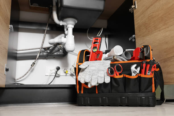 Best Local Plumber Services  in Altamont, TN
